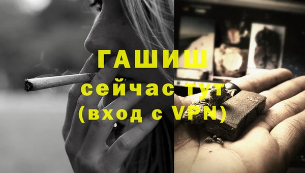 прущие грибы Бородино