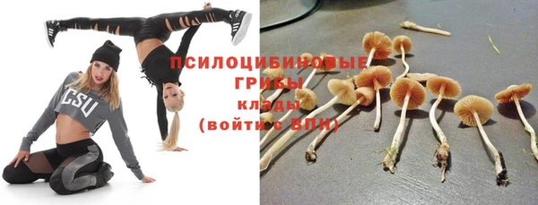 ПСИЛОЦИБИНОВЫЕ ГРИБЫ Верхнеуральск