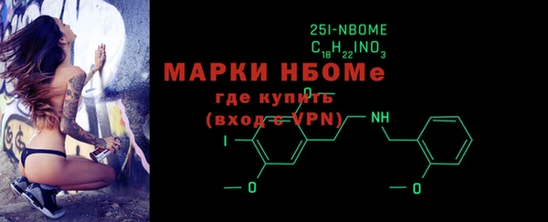 прущие грибы Бородино