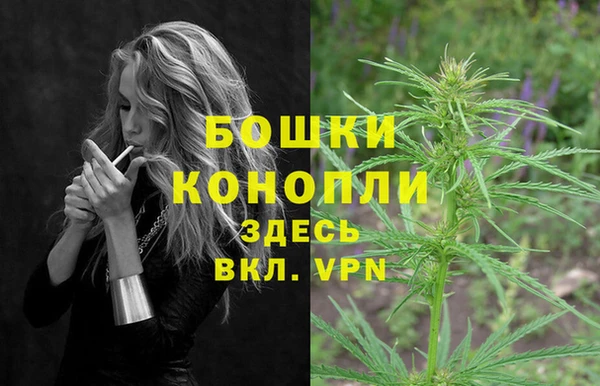 прущие грибы Бородино