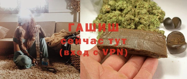 прущие грибы Бородино
