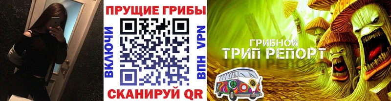 Галлюциногенные грибы Psilocybe  Купить где  Чкаловск 